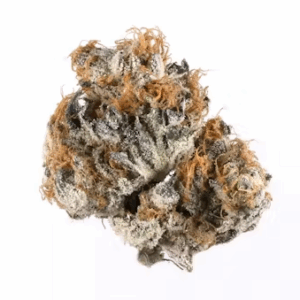 Buy Blueberry online