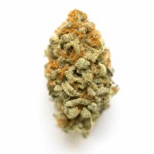 Buy  Chem de la Chem