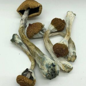 Buy  High Hawaiians online