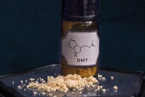 DMT effects