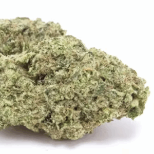 Buy Animal Face Online