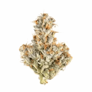 Inzane In The Membrane