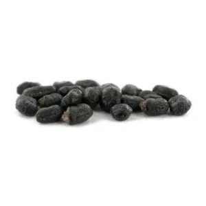 San Pedro Cactus Seeds